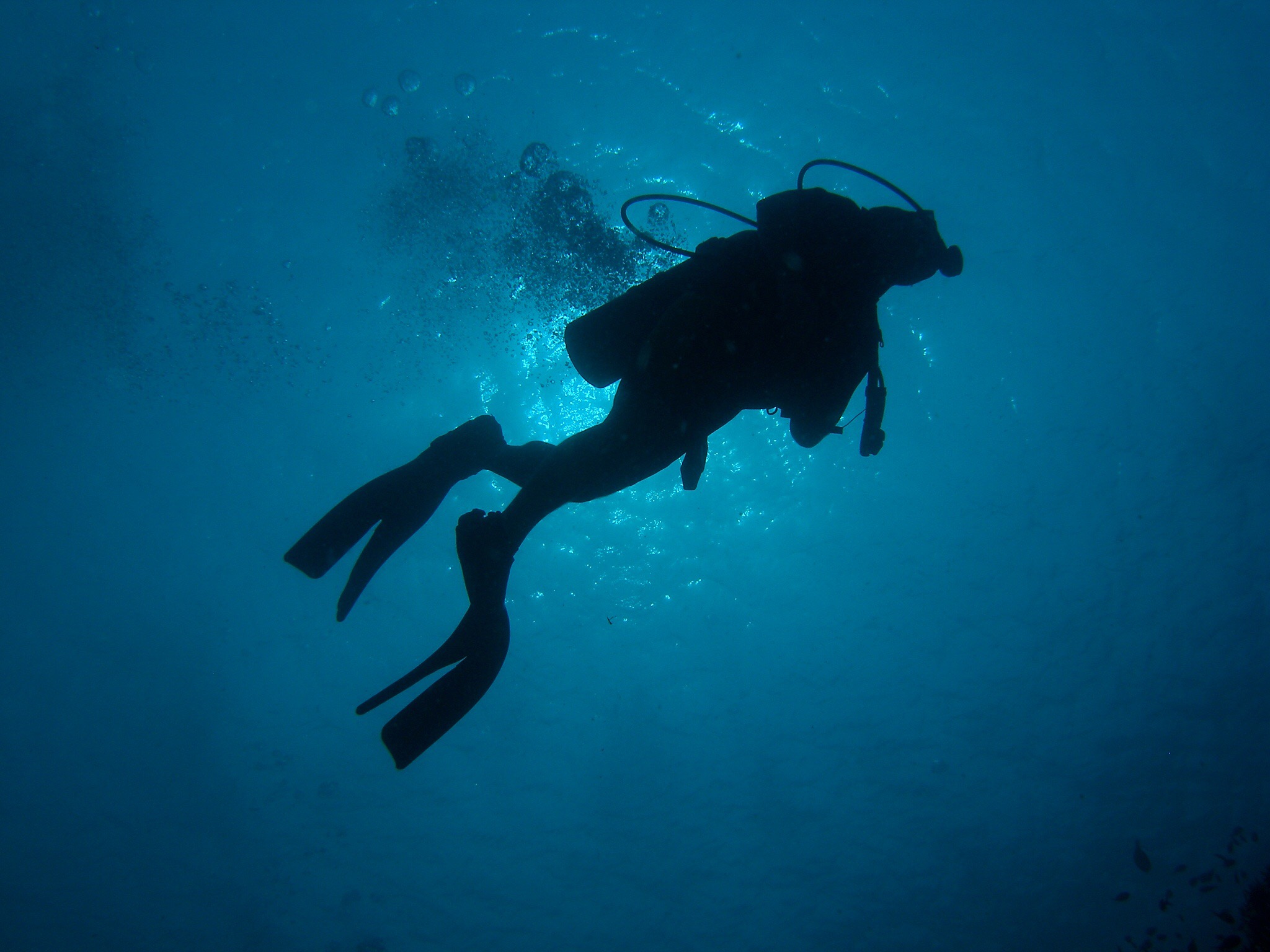 Clotho (https://commons.wikimedia.org/wiki/File:Scuba_diver_in_silhouette.jpg), „Scuba diver in silhouette“, https://creativecommons.org/licenses/by-sa/4.0/legalcode